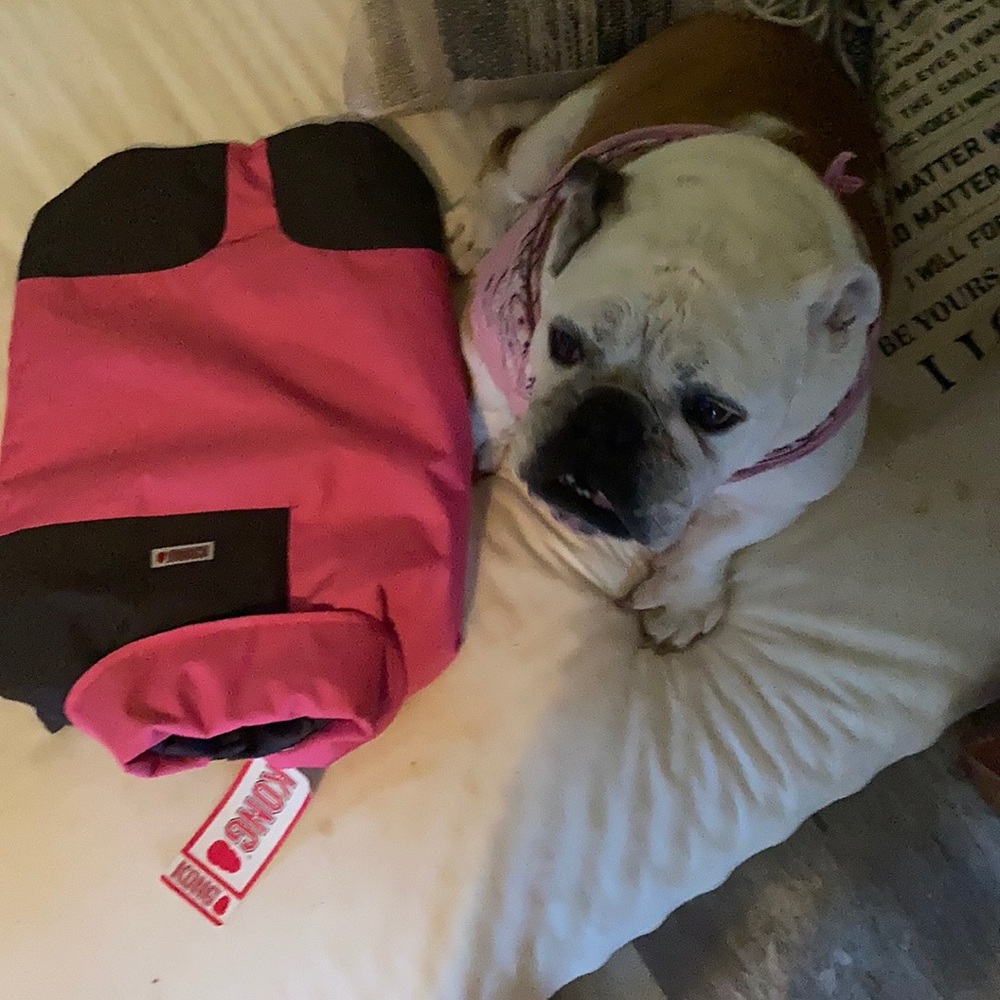 Kong dog winter coat